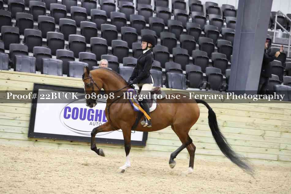 Proof 22BUCK_08098