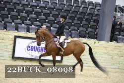 22BUCK_08098 proof
