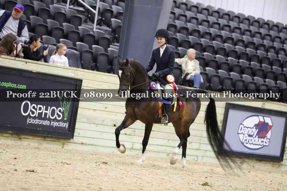Proof 22BUCK_08099