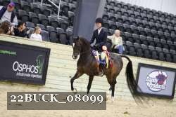 22BUCK_08099 proof