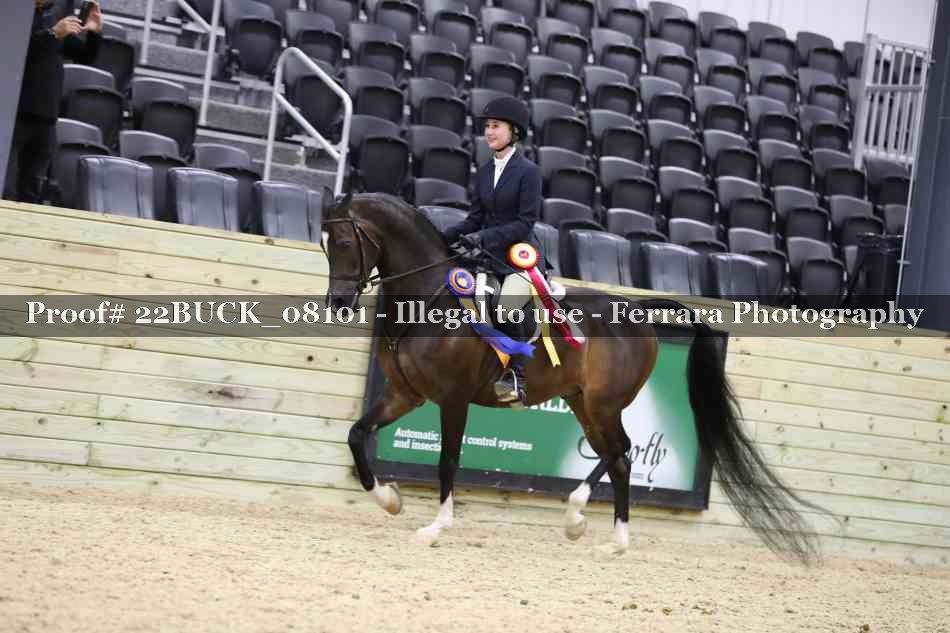 Proof 22BUCK_08101