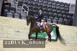 22BUCK_08101 proof