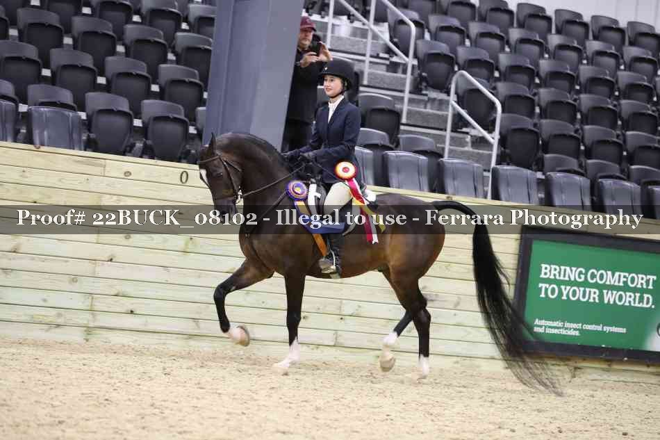 Proof 22BUCK_08102