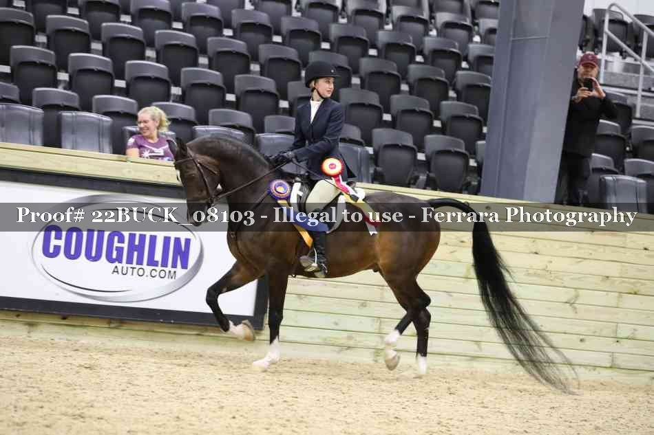 Proof 22BUCK_08103