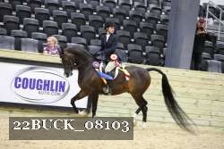 22BUCK_08103 proof