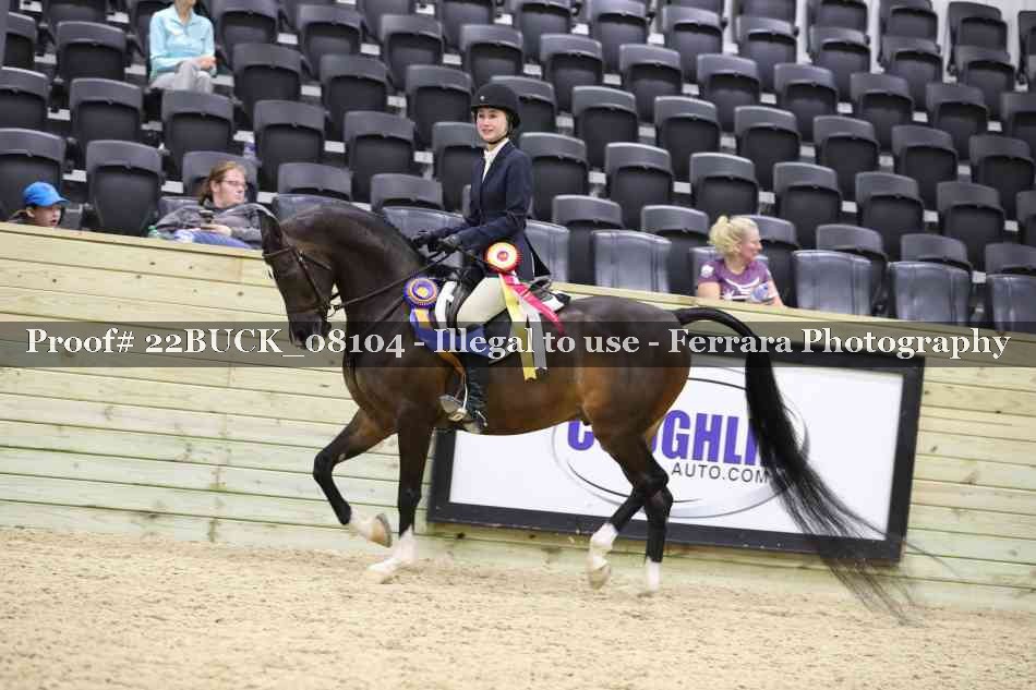 Proof 22BUCK_08104