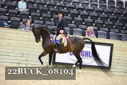 22BUCK_08104 proof