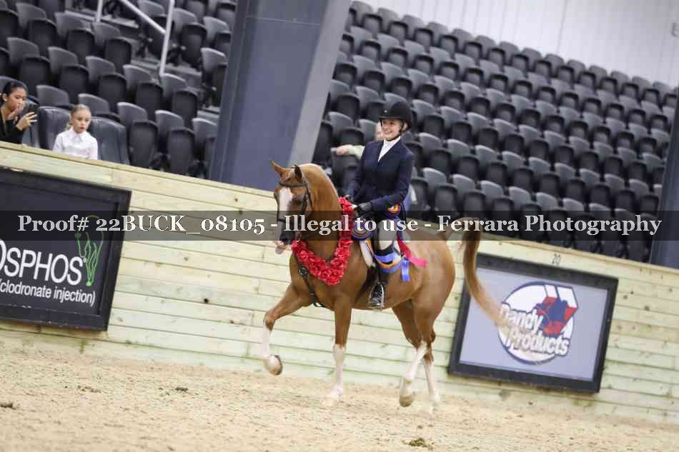 Proof 22BUCK_08105