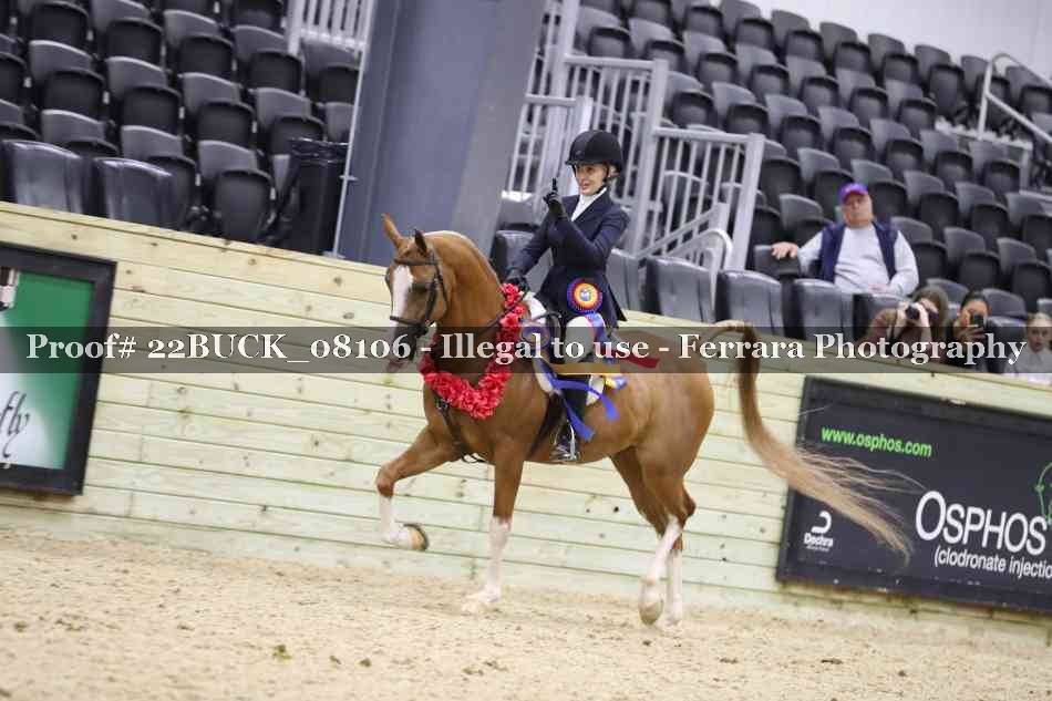 Proof 22BUCK_08106