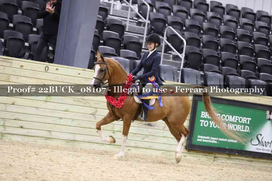 Proof 22BUCK_08107