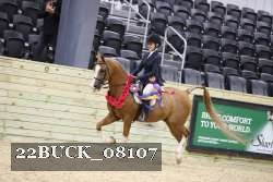 22BUCK_08107 proof