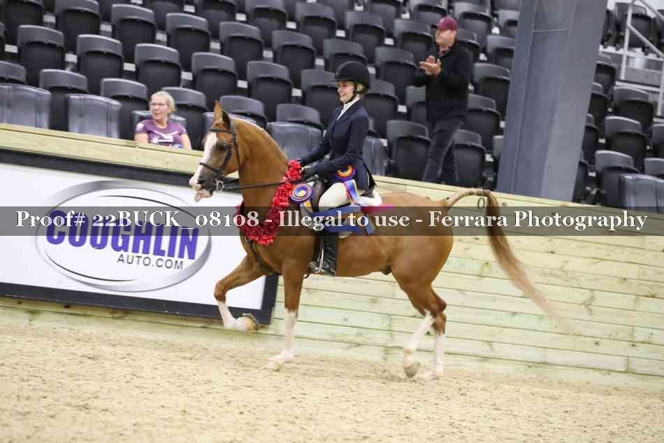 Proof 22BUCK_08108