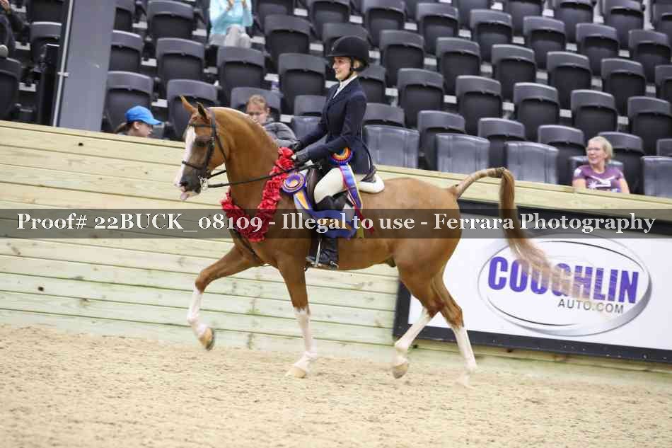 Proof 22BUCK_08109