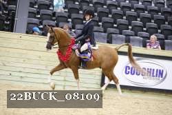 22BUCK_08109 proof