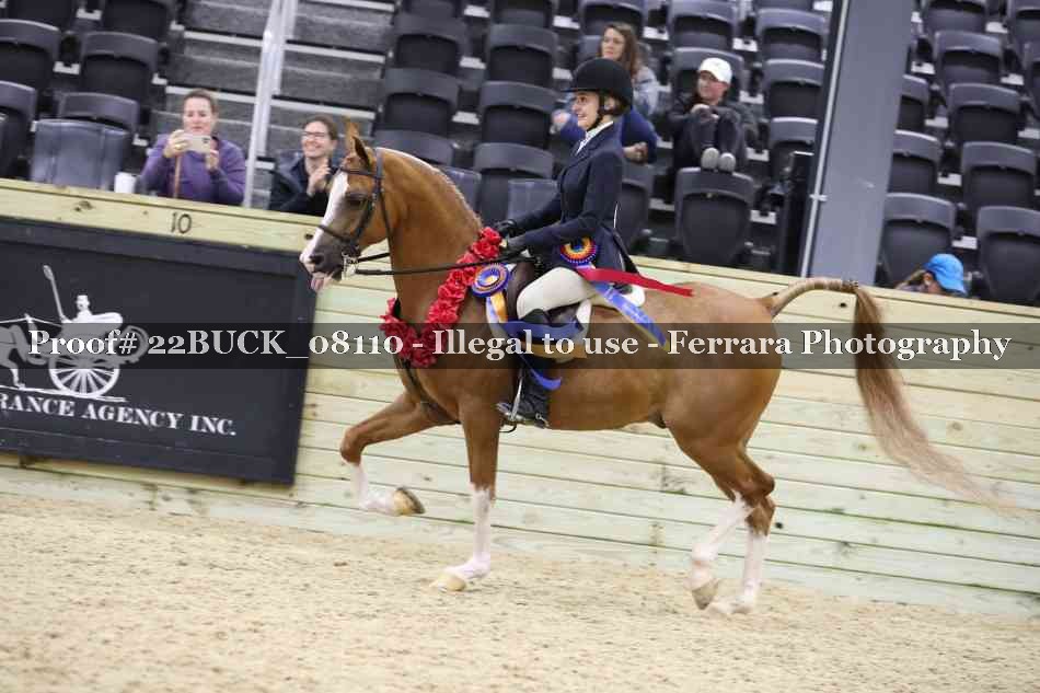 Proof 22BUCK_08110