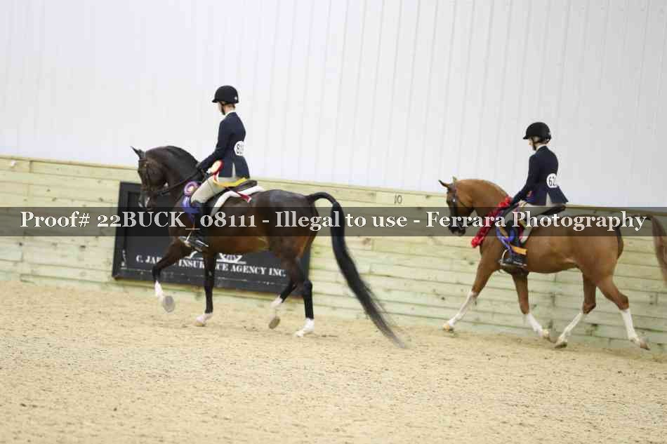 Proof 22BUCK_08111