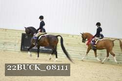 22BUCK_08111 proof