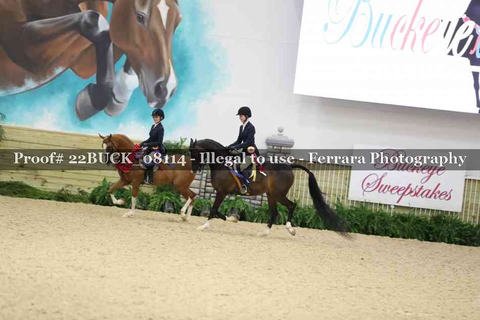 Proof 22BUCK_08114