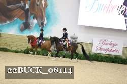 22BUCK_08114 proof