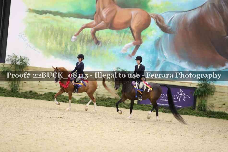 Proof 22BUCK_08115
