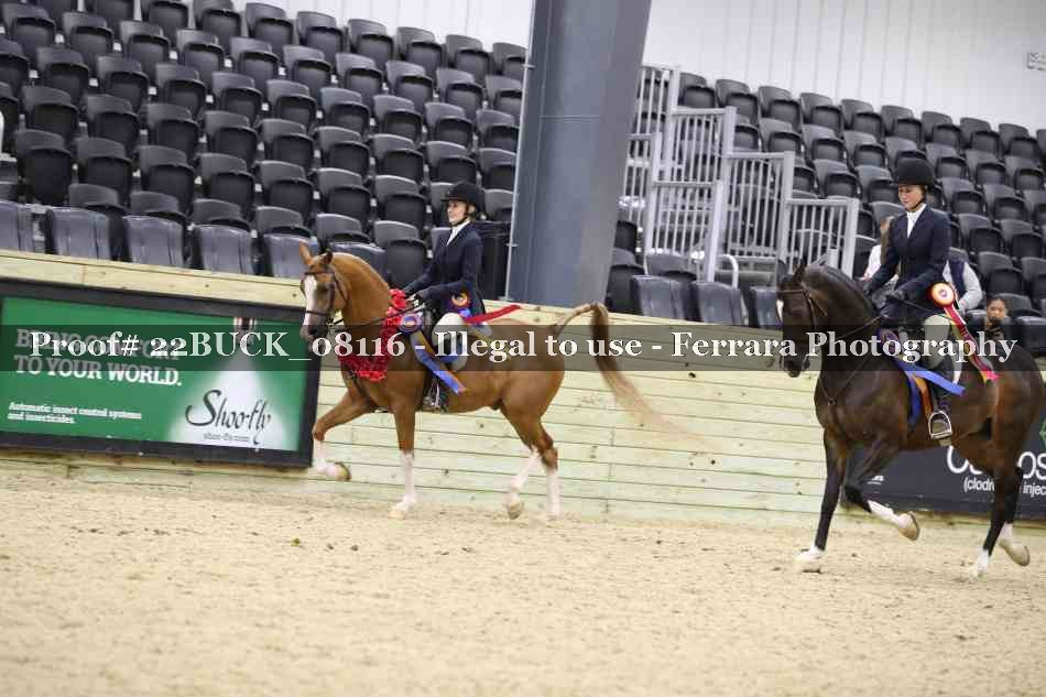 Proof 22BUCK_08116