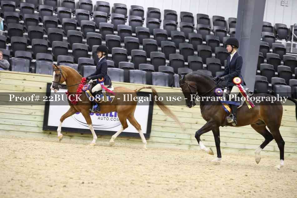 Proof 22BUCK_08117