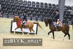 22BUCK_08117 proof