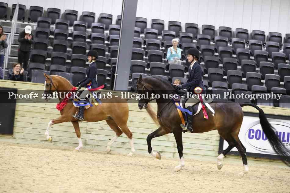 Proof 22BUCK_08118