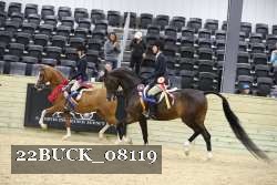 22BUCK_08119 proof