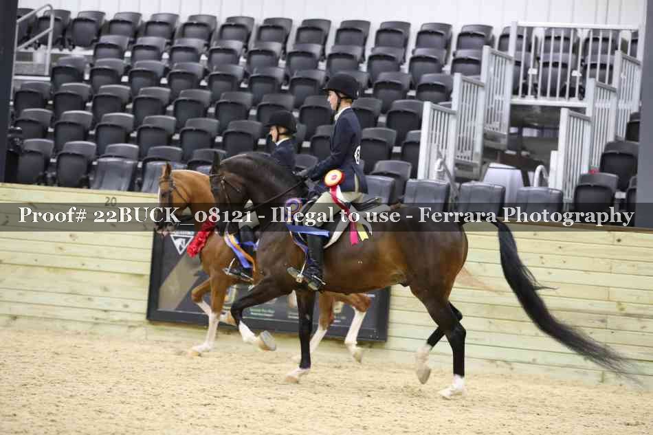 Proof 22BUCK_08121