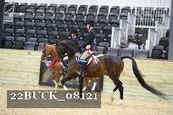 22BUCK_08121 proof