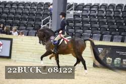 22BUCK_08122 proof