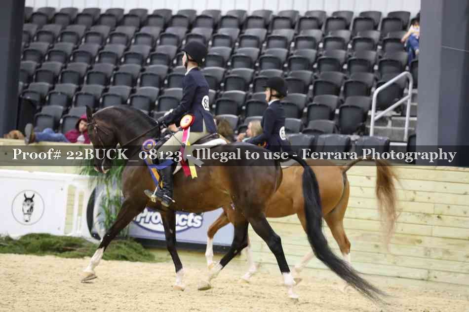 Proof 22BUCK_08123