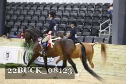 22BUCK_08123 proof
