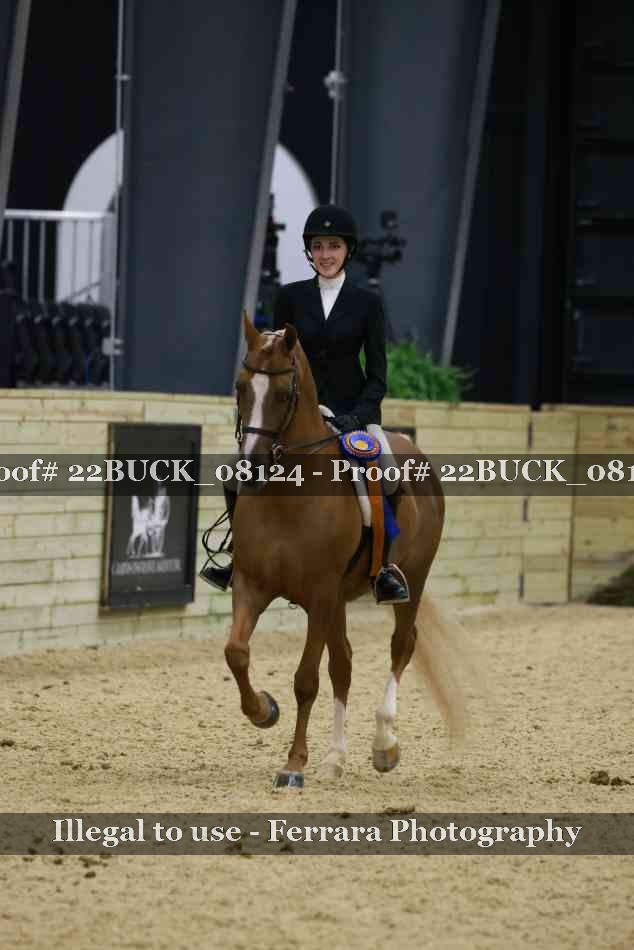 Proof 22BUCK_08124