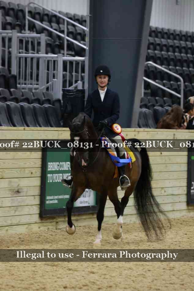 Proof 22BUCK_08131