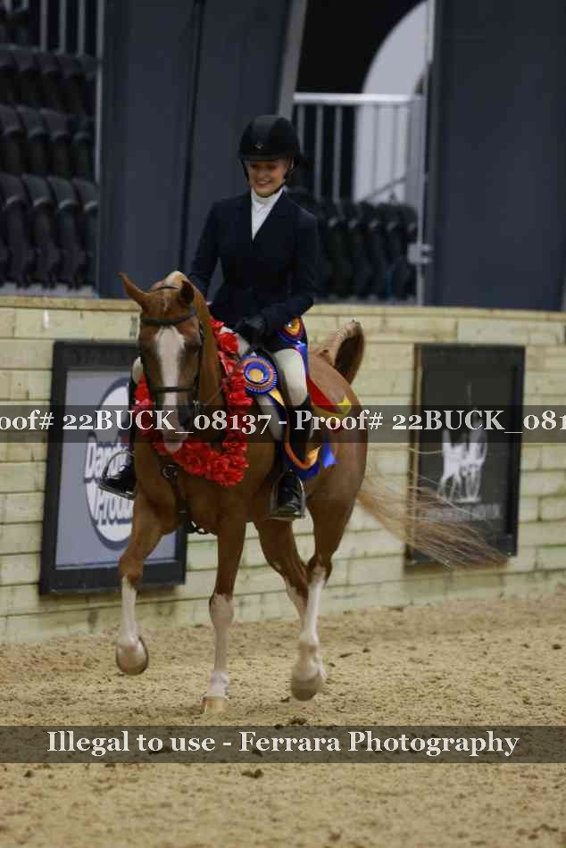 Proof 22BUCK_08137