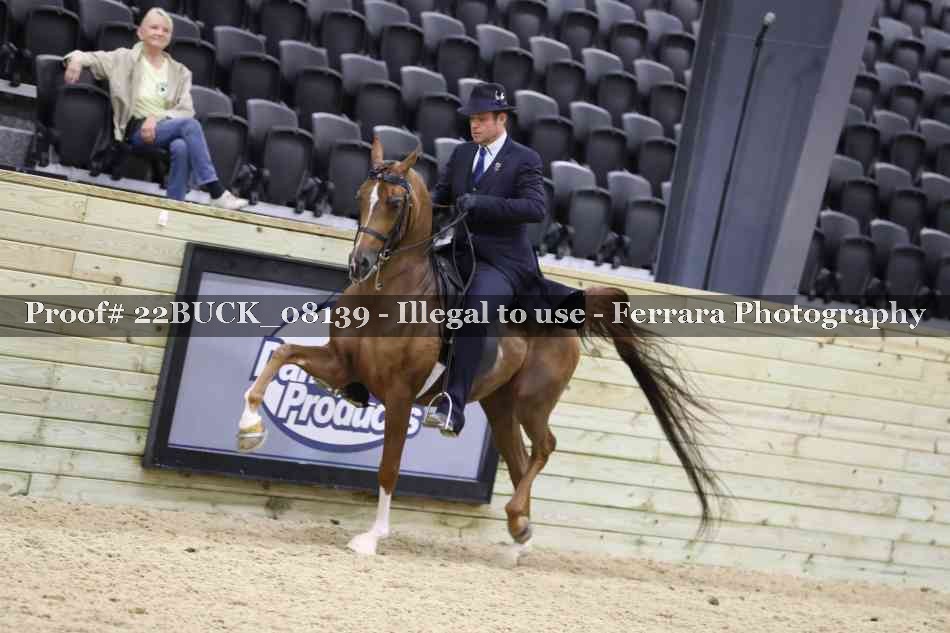 Proof 22BUCK_08139