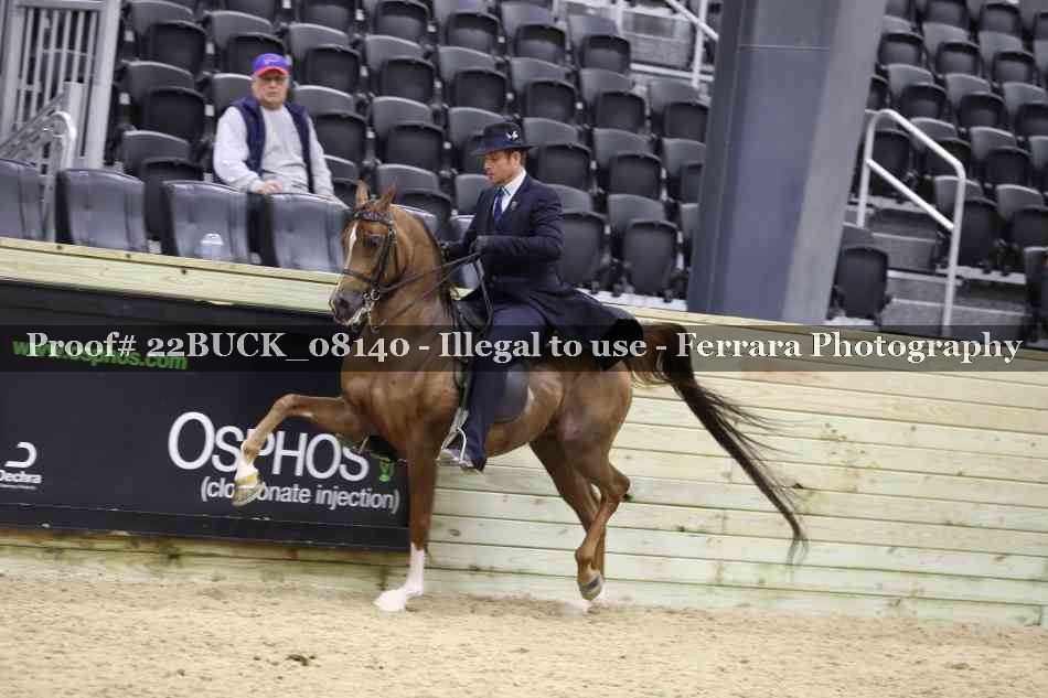 Proof 22BUCK_08140
