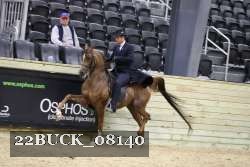 22BUCK_08140 proof