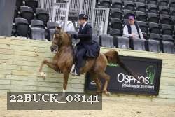 22BUCK_08141 proof