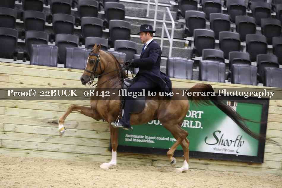 Proof 22BUCK_08142