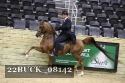 22BUCK_08142 proof