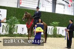 22BUCK_08146 proof