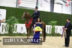 22BUCK_08147 proof