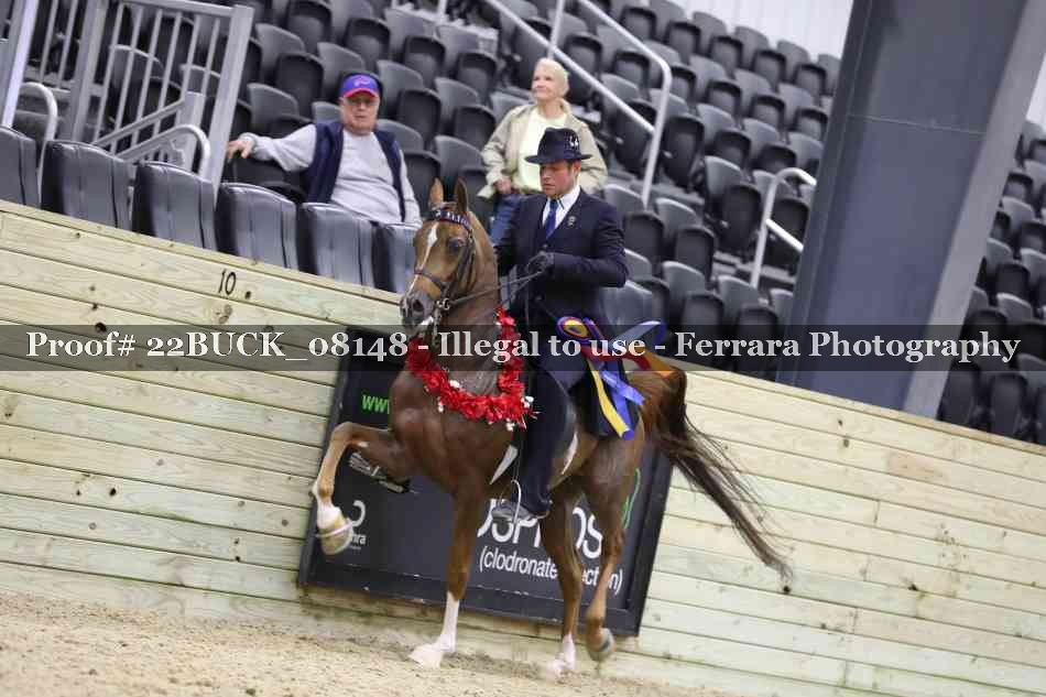 Proof 22BUCK_08148