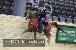 22BUCK_08150 proof