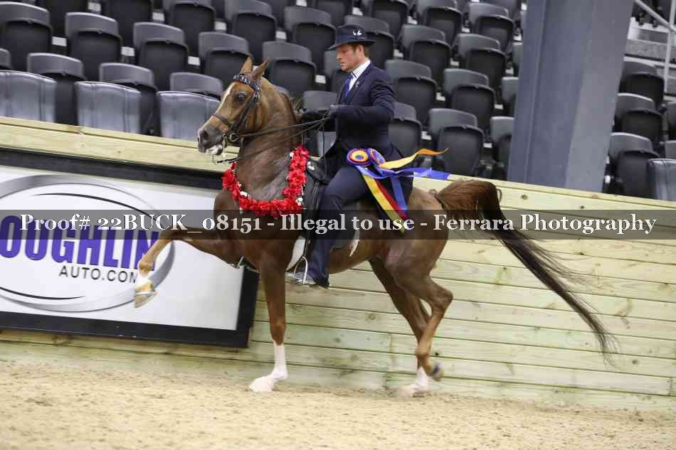 Proof 22BUCK_08151