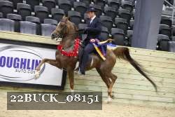 22BUCK_08151 proof