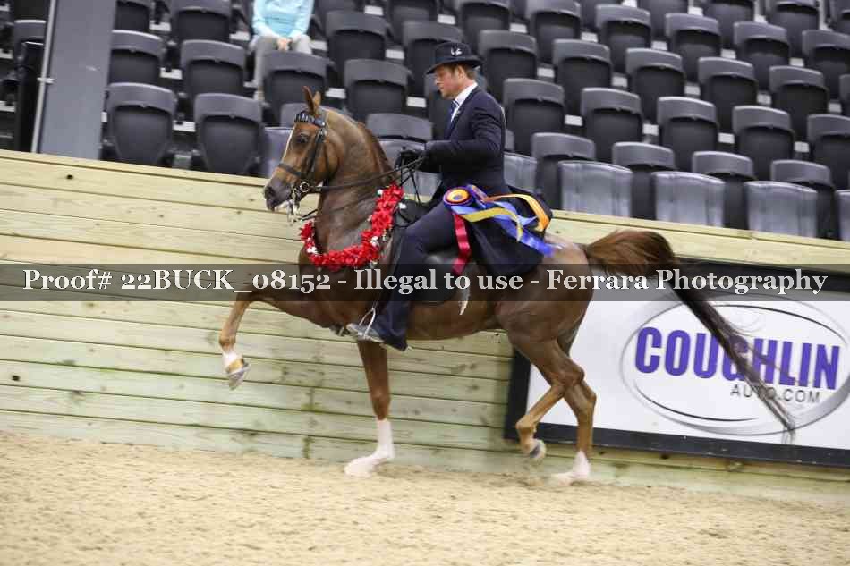 Proof 22BUCK_08152